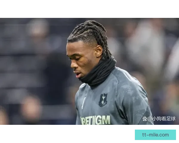 热刺后卫乌多吉因腿筋伤缺席欧冠生死战对阵马竞