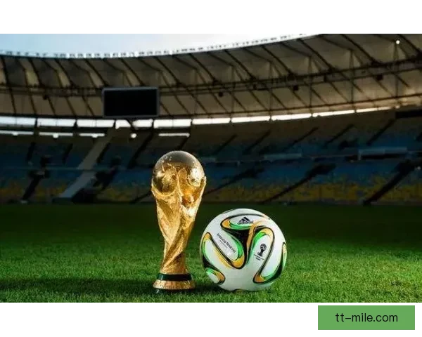2026世界杯官方宣布为志愿者提供全额医疗意外保险保障